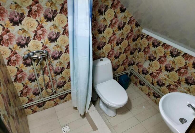 هتل сімейний еко готель вежа бойка