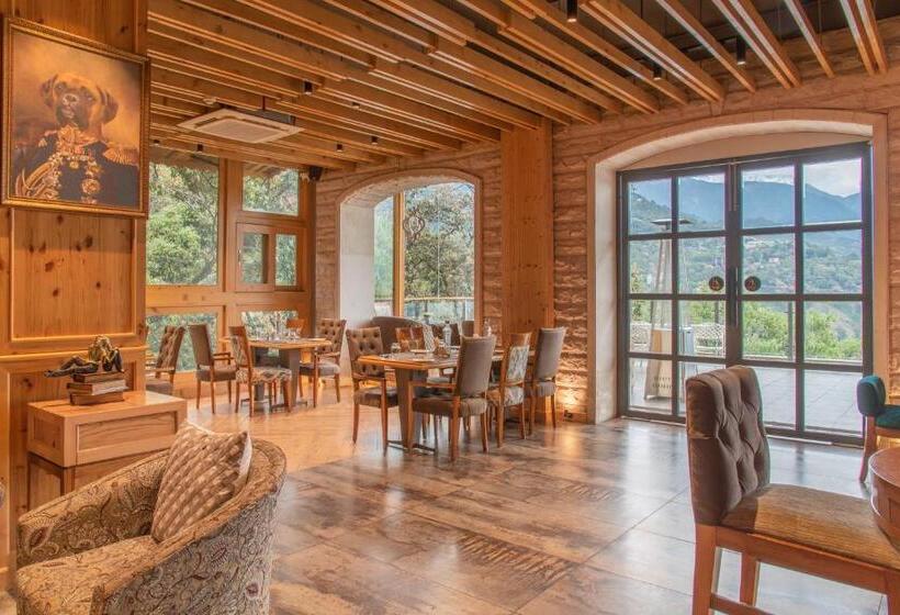 酒店 Echor Mandara Treevilla Dharamshala