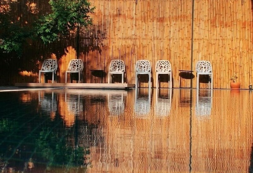 ホテル Sand Dollar Boutique