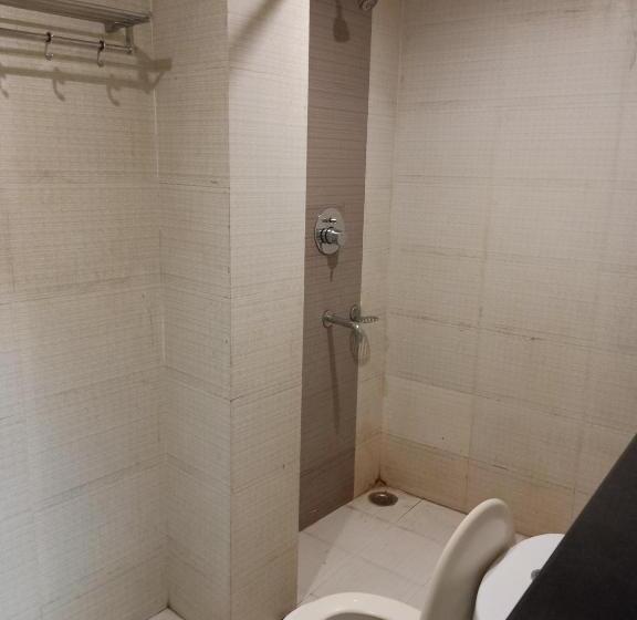 فندق V.i.p. Regency