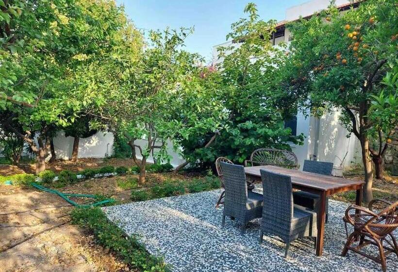 Mel’s Garden House In The Heart Of The City