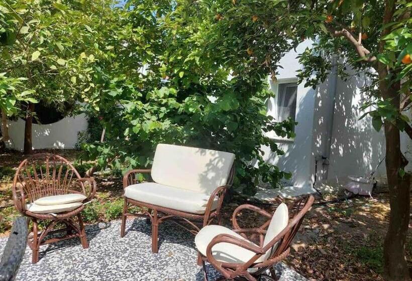 Mel’s Garden House In The Heart Of The City