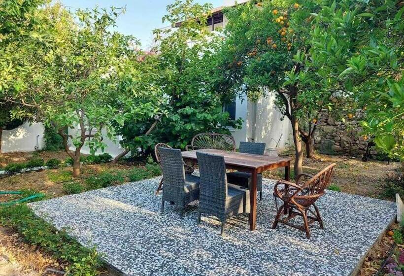 Mel’s Garden House In The Heart Of The City