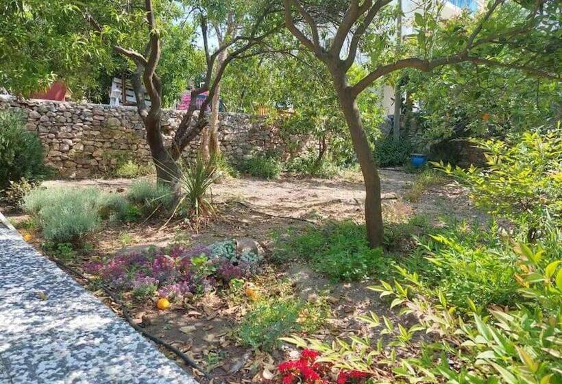 Mel’s Garden House In The Heart Of The City