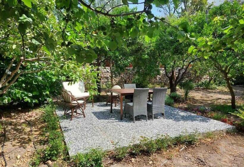 Mel’s Garden House In The Heart Of The City