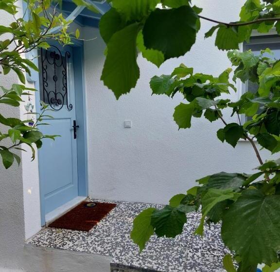 Mel’s Garden House In The Heart Of The City