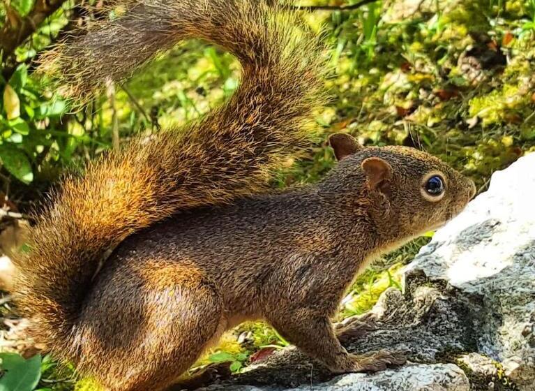 Paradise Hostel E Flats