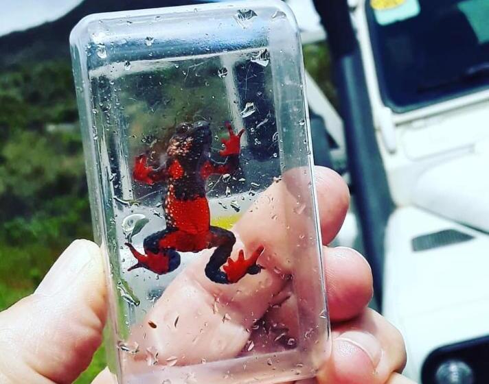 Paradise Hostel E Flats