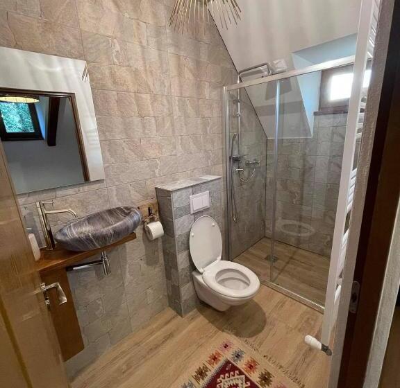 פנסיון Casa Moroșanului Vișeu De Sus