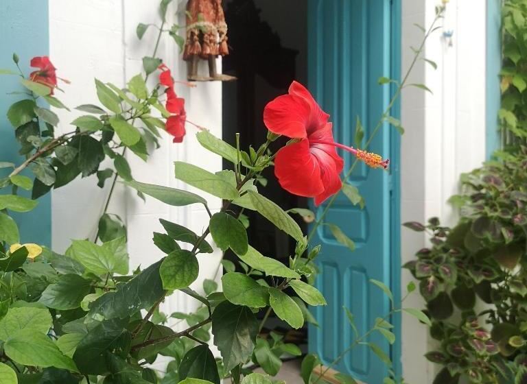 膳宿费 Dar Evelyne By Daldoul