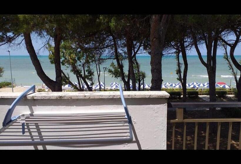 ペンション Room In Bb   Spacious Double Room Beside The Sea