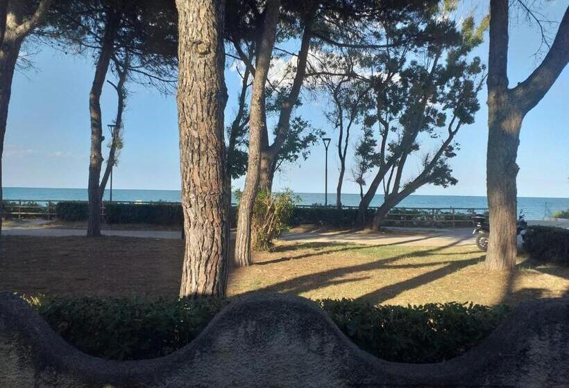 פנסיון Room In Bb   Spacious Double Room By The Sea