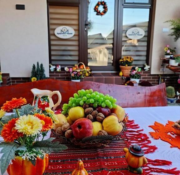 פנסיון Splendid House