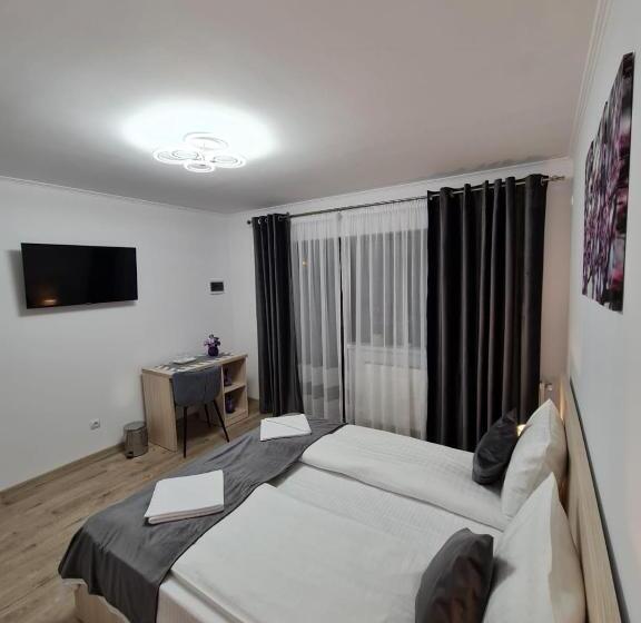 بنسيون Splendid House