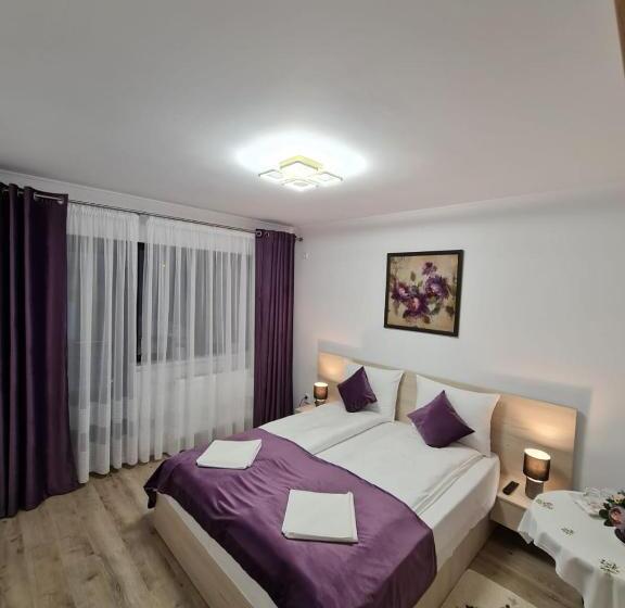 بنسيون Splendid House