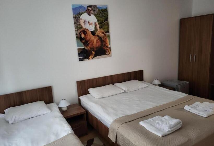 פנסיון Thor și Cora