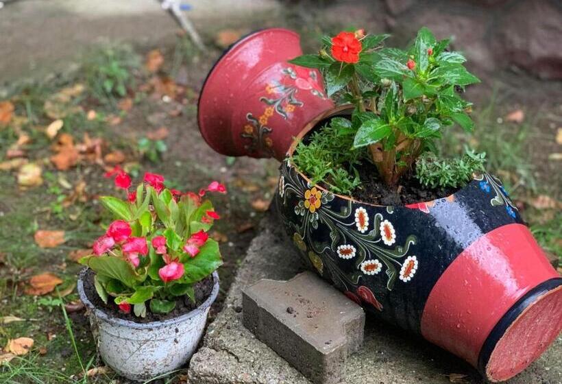 פנסיון Thor și Cora