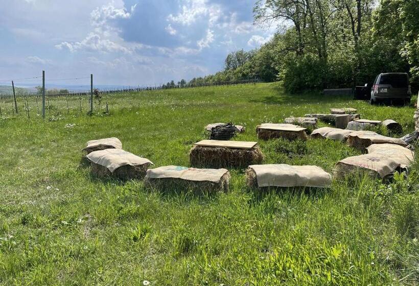 Schlafen In Der Winzerie