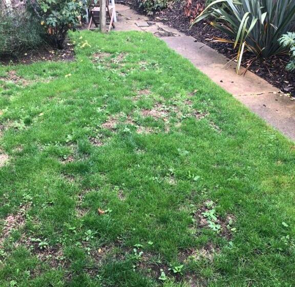 Unique One Bed Contemporary Bungalow Town Centre