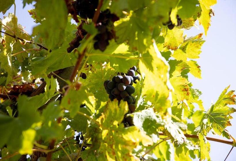 Villa Con Piscina Vista Mare