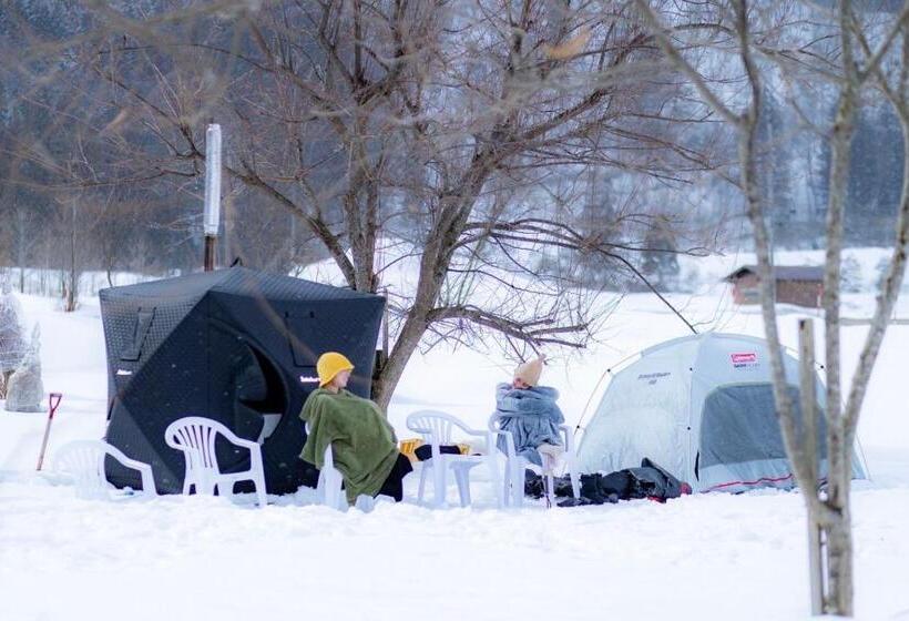 فندق صغير Guesthouse Shirakawa Go Inn