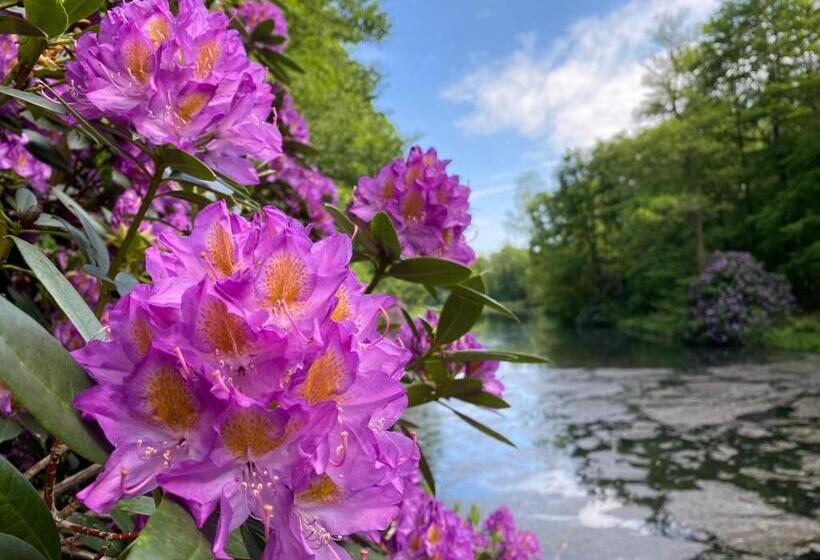 Appartement Osso Arnhem