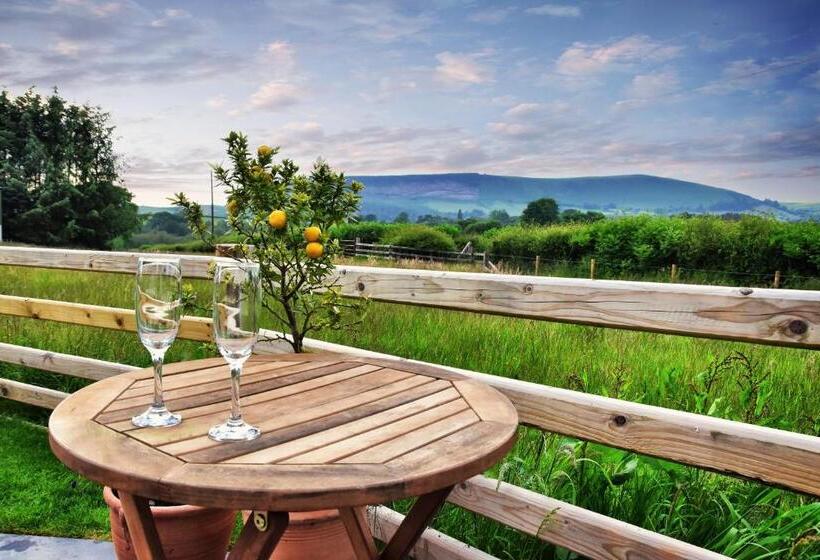 Chic Cottage Near Elan Valley And Builth Wells