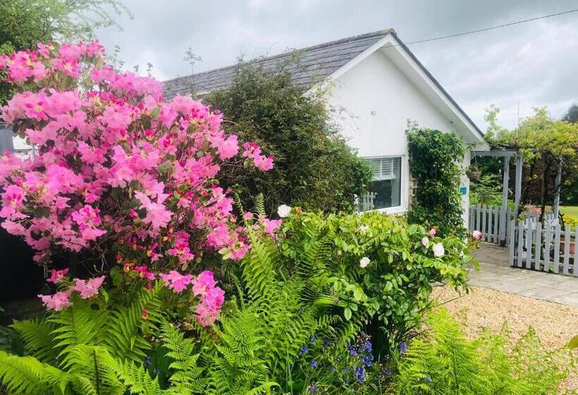 Detached, Peaceful, Spacious With Easy Access And Very Large Garden