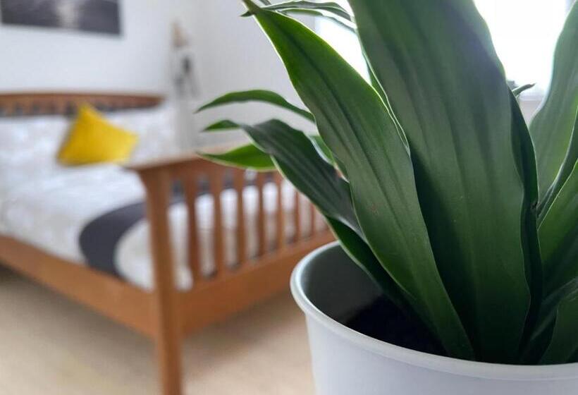 Dolwen Snowdonia Home By Polkastays