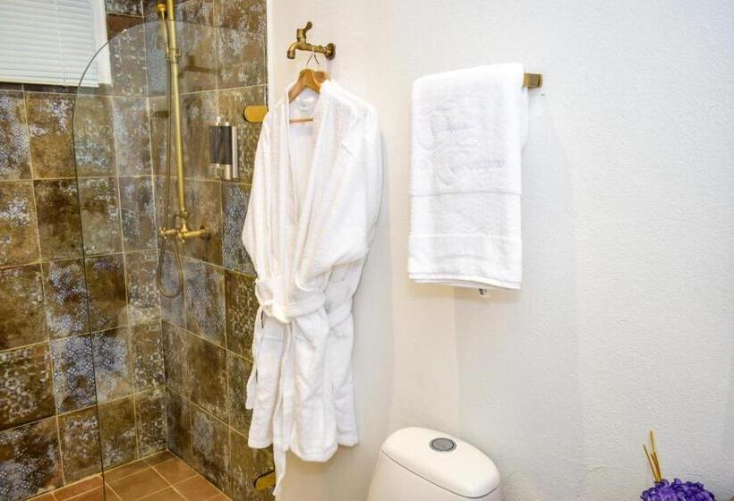 酒店 Boutique Callecitas De San Diego