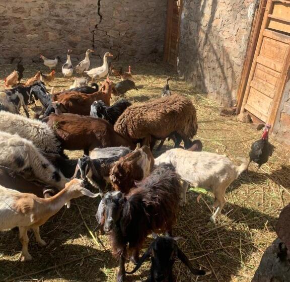 Отель Nubian Farm Aswan