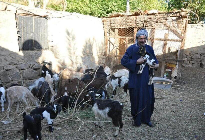 Отель Nubian Farm Aswan