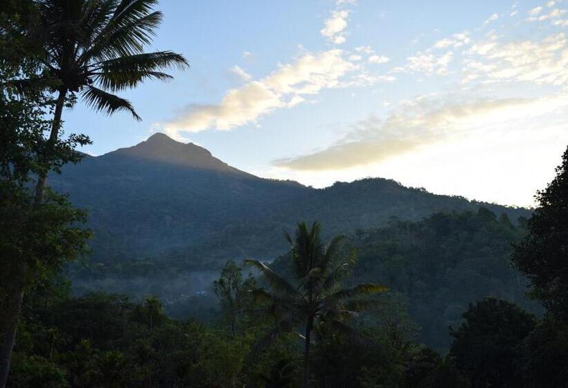 Hotel Pepper County Farm Stay