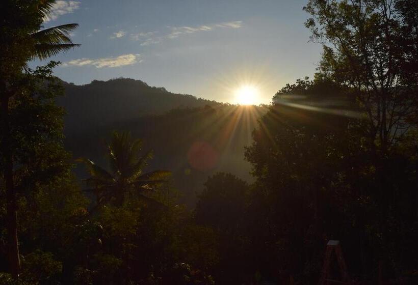 Hotel Pepper County Farm Stay