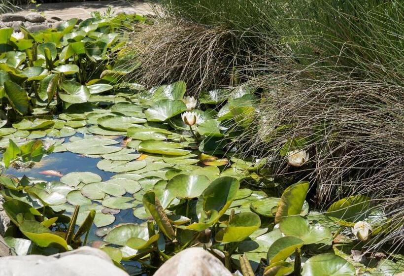 ペンション екокомплекс катунище