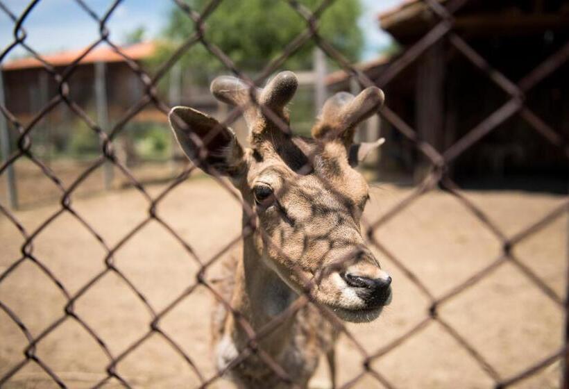 ペンション екокомплекс катунище