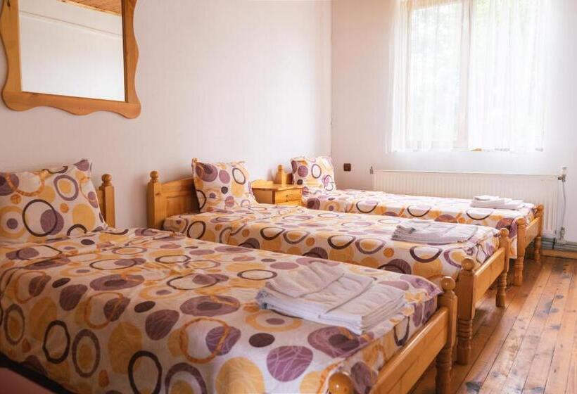 ペンション гюмюрджински снежник