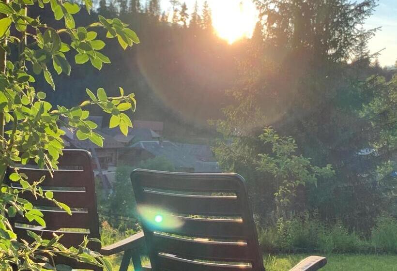 پانسیون зоряні карпати