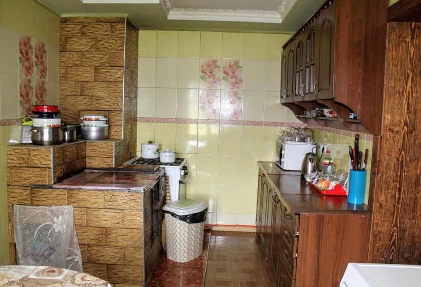 پانسیون у василини