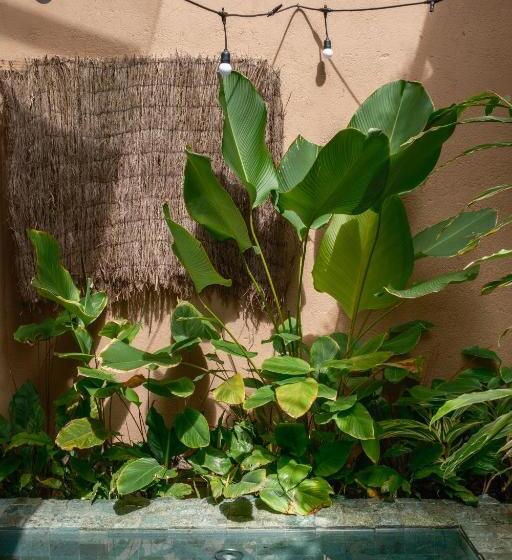 بنسيون Casa Das Conchas Caraiva