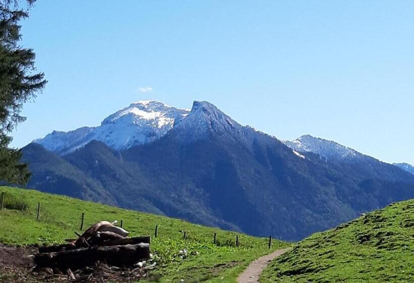 Пансион Gästehaus Frankl