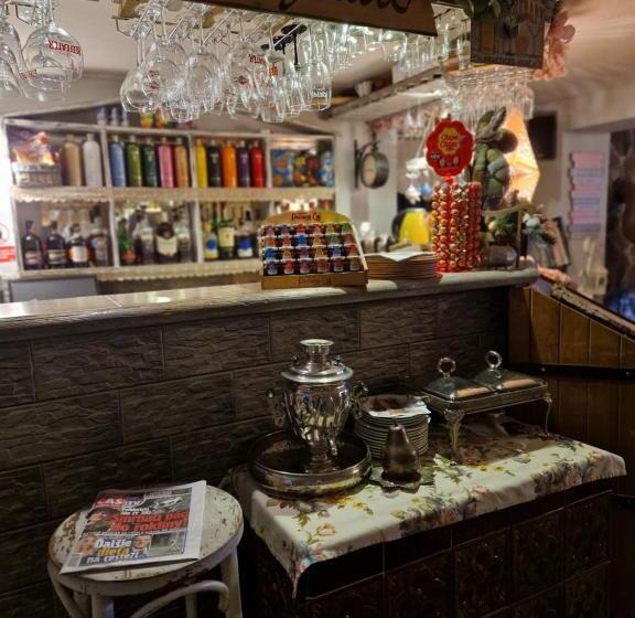 膳宿费 Penzión U Koníka