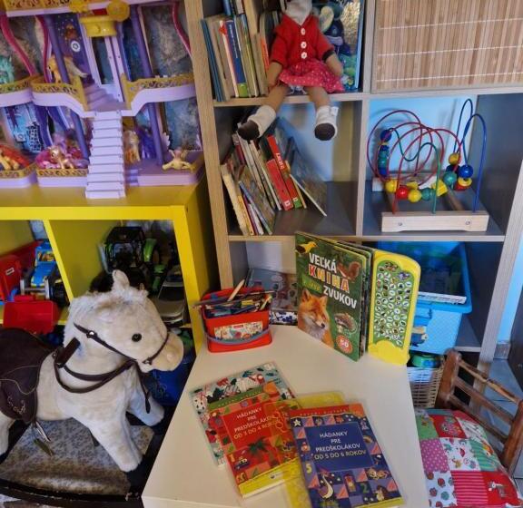 膳宿费 Penzión U Koníka