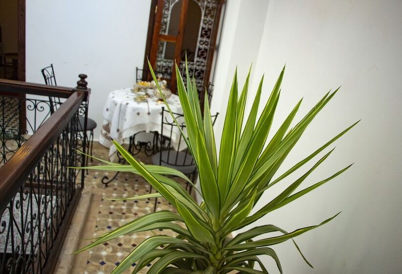 پانسیون Riad Dar Senhaji