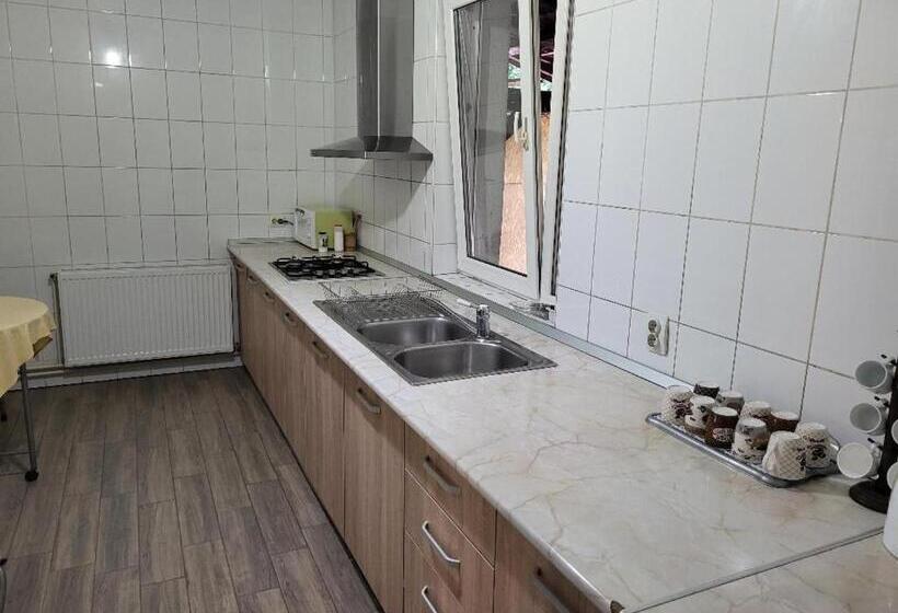 Пансион Vila Brandusa