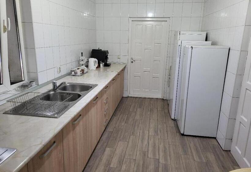 Пансион Vila Brandusa