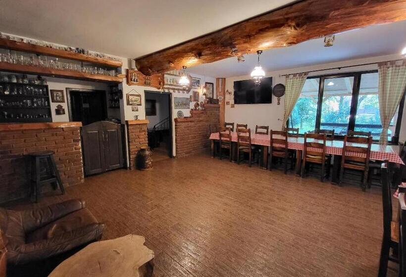 Пансион Vila Brandusa