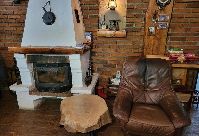 Пансион Vila Brandusa