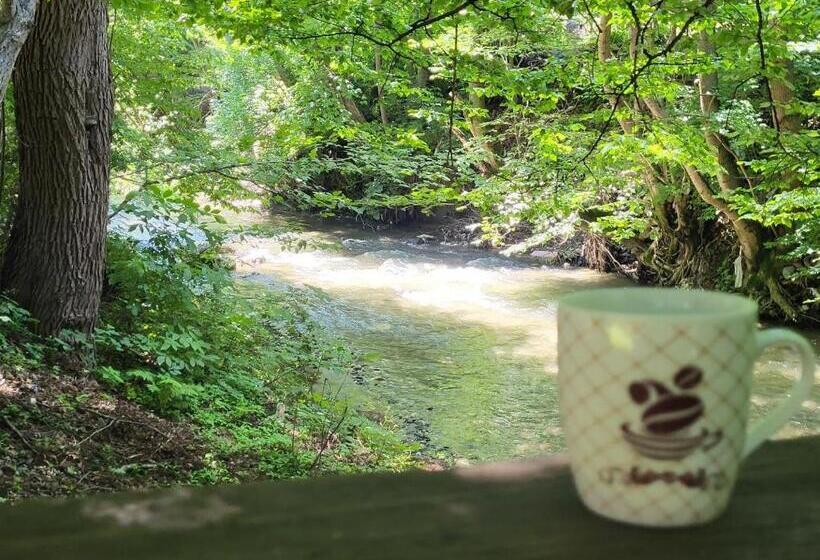 Пансион Vila Brandusa