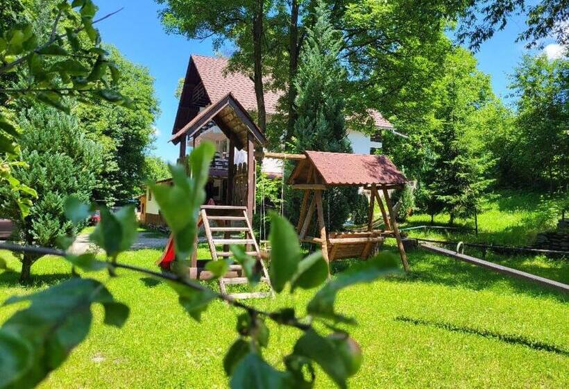 Пансион Vila Brandusa